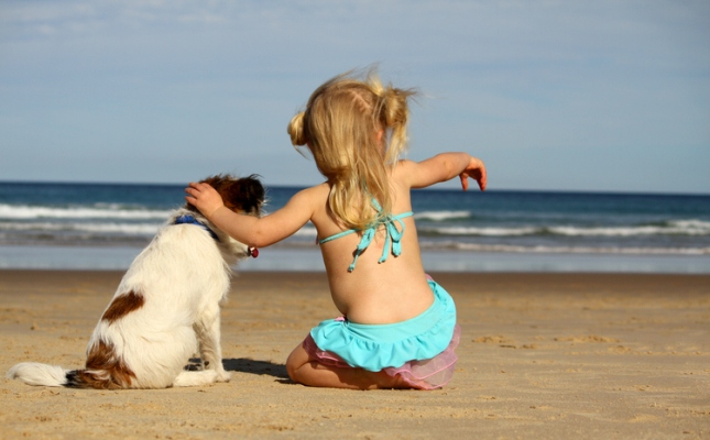 Σκύλος στη θάλασσα: Στην παραλία νόμος είναι το δίκιο του τραμπούκου
