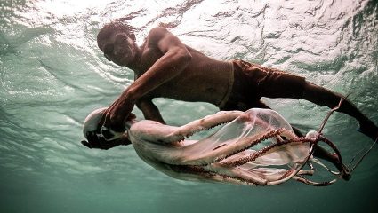 Ζουν μέσα στο νερό: Οι γενετικά μεταλλαγμένοι «τσιγγάνοι της θάλασσας» είναι ένα αληθινό φαινόμενο