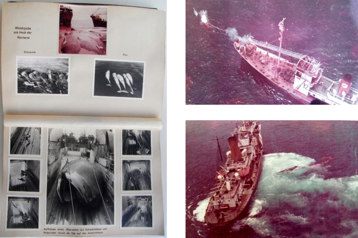 Ο βομβαρδισμός του στόλου του Ωνάση: Πώς κατάφερε να θησαυρίσει μέσα στα συντρίμμια