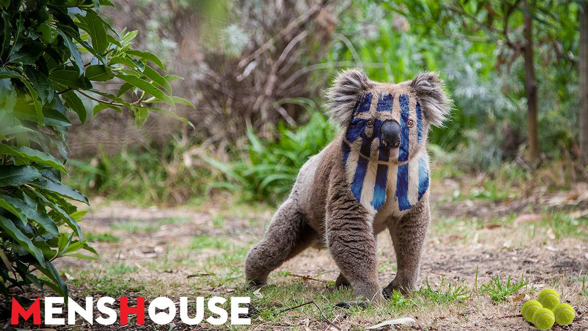 Φώτο - ντοκουμέντο: Τα επεισόδια των χούλιγκανς του Τσιτσιπά στην Αυστραλία! (Pics)