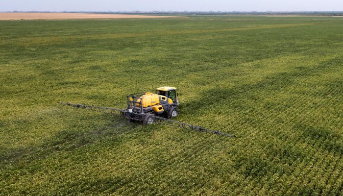 «Αν σπείρεις μια φορά, δεν υπάρχει γυρισμός»: Οι σπόροι της Monsanto που κρατούν για πάντα δέσμιους τους αγρότες
