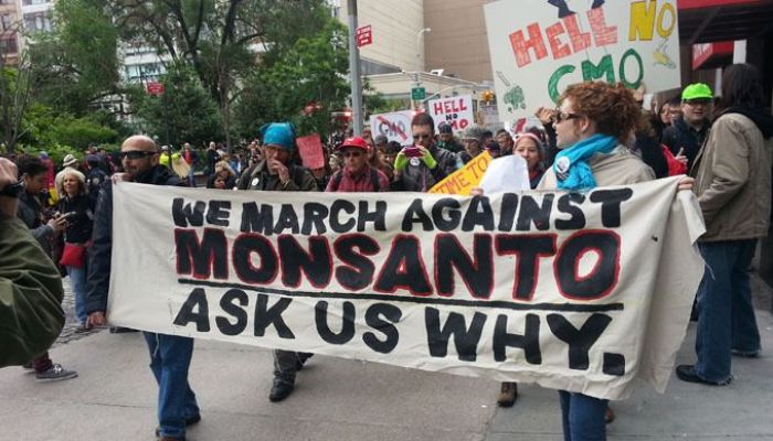 «Αν σπείρεις μια φορά, δεν υπάρχει γυρισμός»: Οι σπόροι της Monsanto που κρατούν για πάντα δέσμιους τους αγρότες