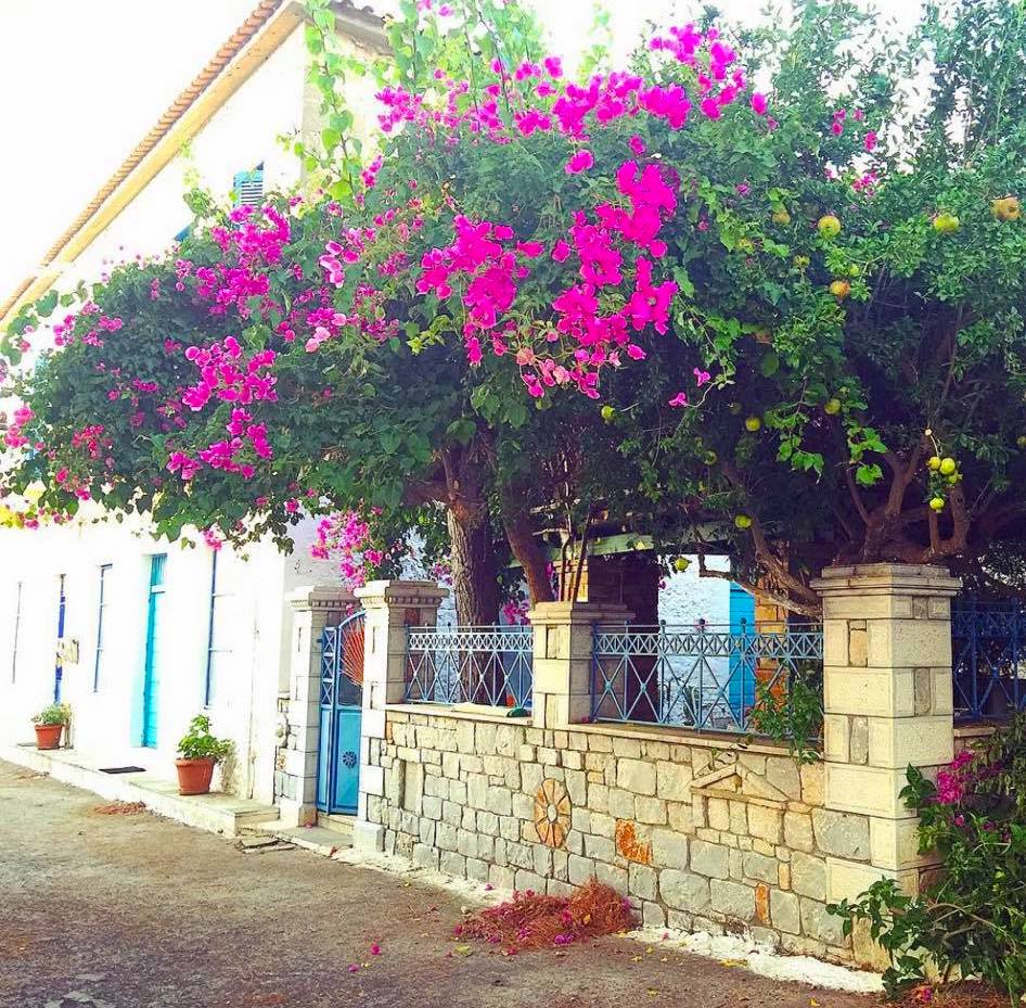 Πεντάστερες, low budget διακοπές: Το ελληνικό χωριό που λατρεύει η Αντζελίνα Τζολί θα 'χει βαθύ καλοκαίρι ως τον Οκτώβρη (Pics)