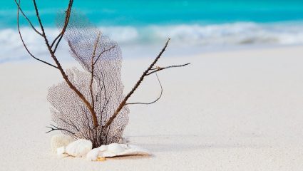 270 μέτρα βγαλμένα από Καραϊβική: Την παραλία-όνειρο που οι τουρίστες ανέδειξαν νο1 οι περισσότεροι Έλληνες δεν την ξέρουν