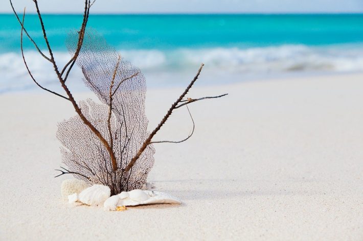 270 μέτρα βγαλμένα από Καραϊβική: Την παραλία-όνειρο που οι τουρίστες ανέδειξαν νο1 οι περισσότεροι Έλληνες δεν την ξέρουν