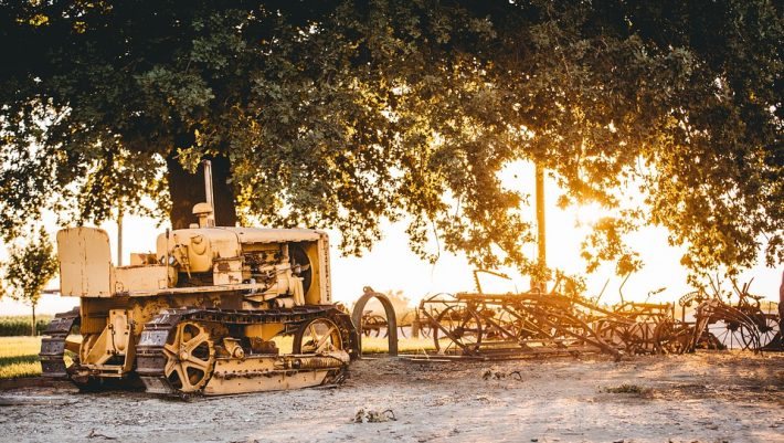 Κάνουν θαύματα με το ξύλο: Το ελληνικό χωριό που έχει 0% ανεργία βρήκε χρυσάφι στα δέντρα του