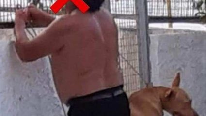 Κακοποίηση σκύλου στα Χανιά: Θα αφήσει το κράτος 3 παιδιά να μεγαλώνουν με τέτοιο πατέρα;