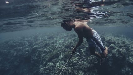 Μοναδικό φαινόμενο: Οι γενετικά μεταλλαγμένοι τσιγγάνοι της θάλασσας που ζουν μέσα στο νερό