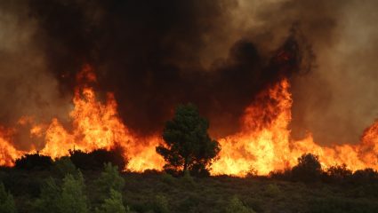 Μια πυρκαγιά μακριά από την ερημοποίηση: Η πρόβλεψη του καθηγητή Λέκκα για την Αττική που προκαλεί τρόμο