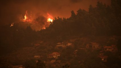 Φωτιά: «Δεν μας ακούτε για χρόνια» – Τρεις περιβαλλοντικές οργανώσεις εξηγούν γιατί κάηκε η χώρα