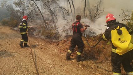 Φωτιά Εύβοια-Ρουμάνοι πυροσβέστες: Θα μείνουμε μέχρι να σβήσει και η τελευταία φλόγα