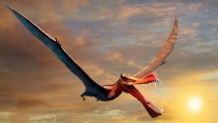 Εντυπωσιακή ανακάλυψη στην Αυστραλία: Βρέθηκε «δράκος» με άνοιγμα φτερών 23 πόδια
