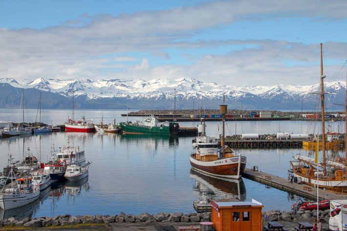 91% πλήρως εμβολιασμένοι κι όμως…: Τα νούμερα της Ισλανδίας διαλύουν οριστικά το μύθο των εμβολίων