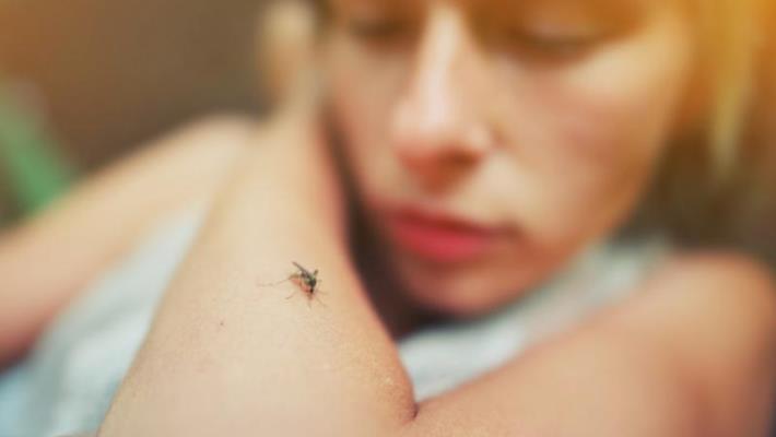 Κι όμως, θα μπορούσε να είναι χειρότερα: Τι θα συνέβαινε αν εξαφανίζονταν τα κουνούπια!