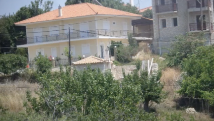 Καταπράσινο, 12 χλμ απ’ τη θάλασσα: Το ελληνικό χωριό με τα 73 νεόδμητα σπίτια ερημωσε λόγω ενός κρατικού εγκλήματος