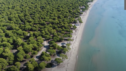 45’ απ’ την Αθήνα χωρίς διόδια: Η παραλία των 3Km με τα ρηχά, τιρκουάζ νερά που θυμίζει Ψαρρού (Vid)