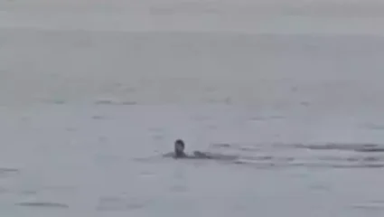 Σκληρές εικόνες: Καρχαρίας κατασπαράζει 23χρονο σε παραλία της Αιγύπτου – Τρομακτικό βίντεο