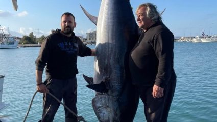 400 κιλά βάρος, κοντά 3 μέτρα: Το μεγαλύτερο ψάρι που πιάστηκε στις ελληνικές θάλασσες με το ζόρι χωρούσε σε φωτογραφία