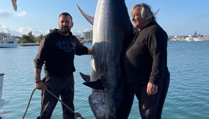 400 κιλά βάρος, κοντά 3 μέτρα: Το μεγαλύτερο ψάρι που πιάστηκε στις ελληνικές θάλασσες με το ζόρι χωρούσε σε φωτογραφία