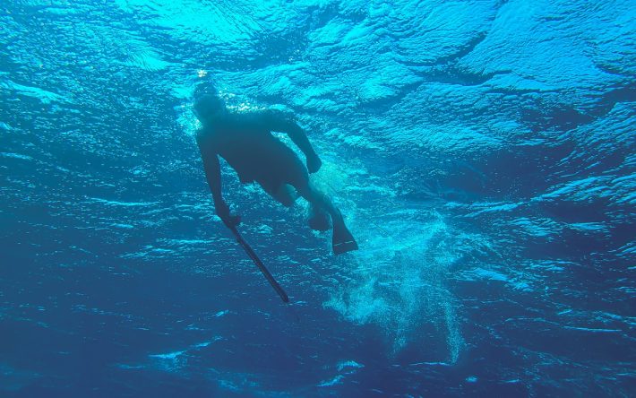 3 λεπτά κατάδυση στα 46 μέτρα: Ο Έλληνας ψαροντουφεκάς που έβγαλε την τσιπούρα-θηρίο των 7 κιλών (Pic)