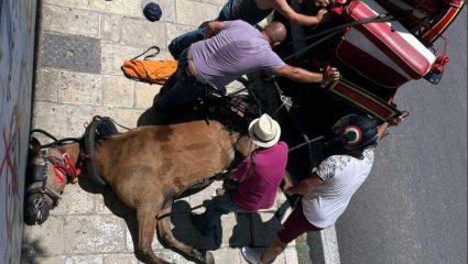 Οι εγκληματίες της άμαξας και τα κροκοδείλια δάκρυα των social media για το άλογο στην Κέρκυρα