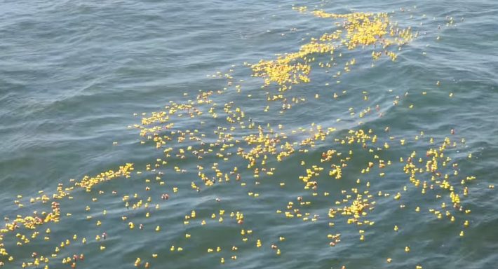 30 χρόνια ναυαγοί: Γιατί τα 28.800 κίτρινα παπάκια που διέσχισαν το μισό πλανήτη πωλούνται 1000$ το ένα