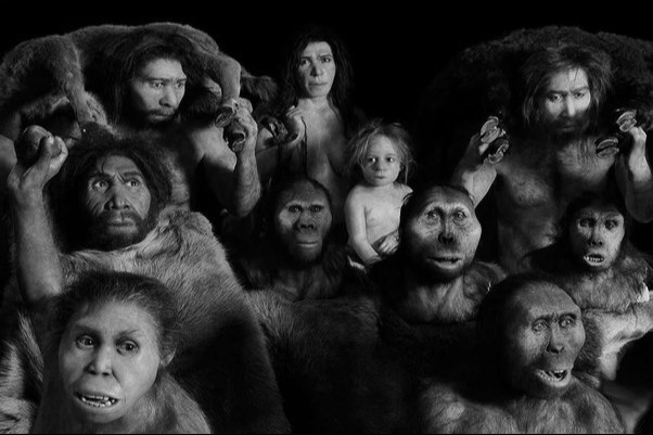 Πώς οι Homo Sapiens έμειναν το τελευταίο είδος ανθρωποειδών στον πλανήτη - Τι απέγιναν όλα τα υπόλοιπα;