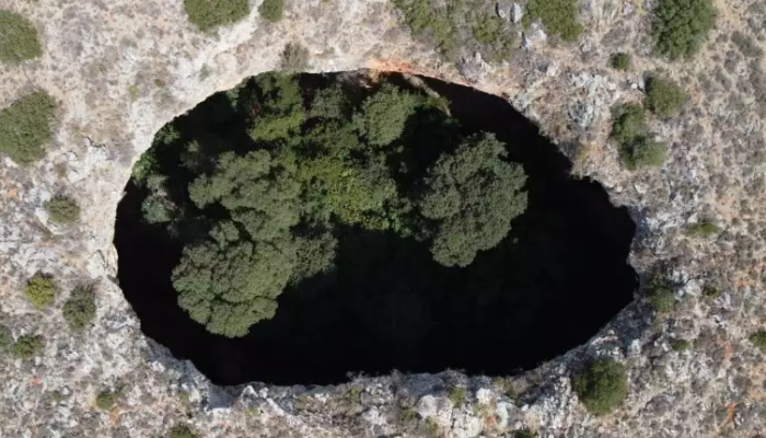 Χάνεται ο ήλιος: Το απόκοσμο δάσος της Μάνης που βρίσκεται κάτω από τη γη