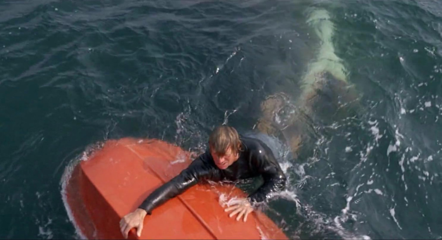 Τα σαγόνια του Καρχαρία